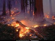 National Geographic Wallpapers 025_jpg